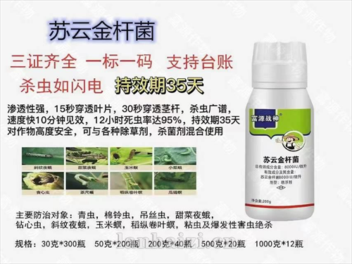 苏云金杆菌