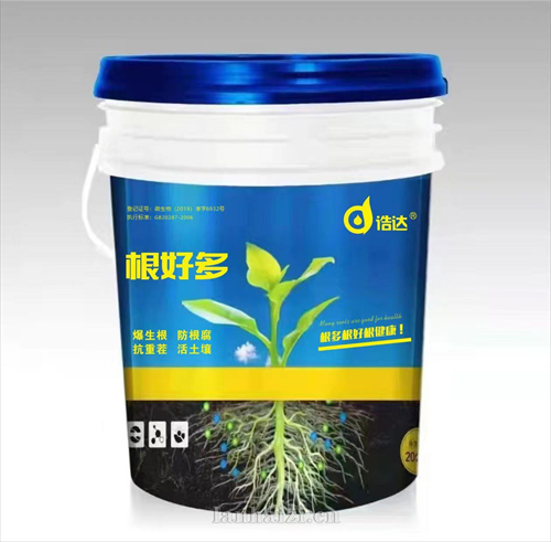 根好多