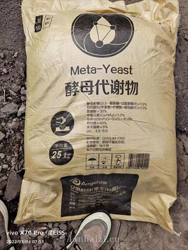酵母代谢物