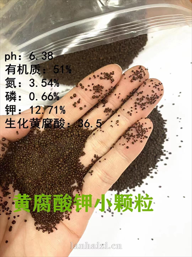 黄腐酸钾小颗粒