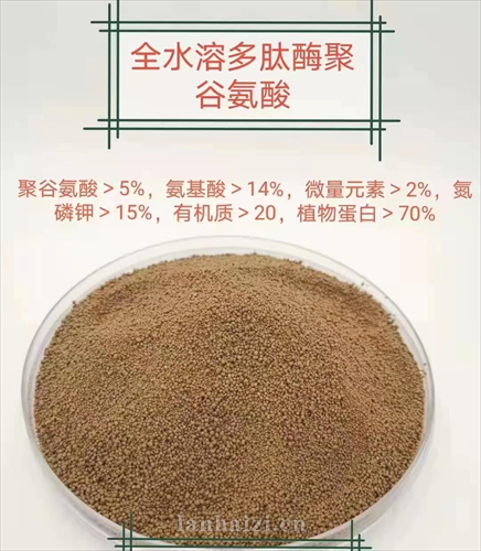全水溶多肽酶聚谷氨酸