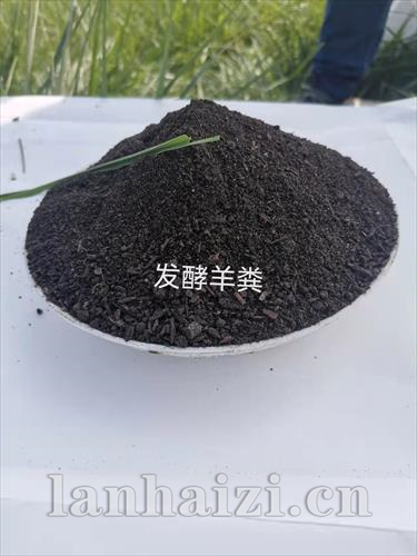 发酵羊粪