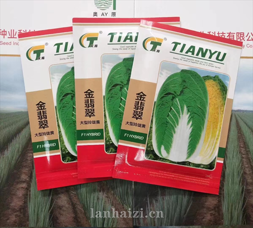 金翡翠白菜种子