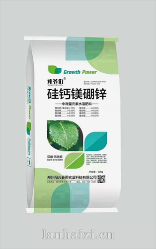 硅钙镁硼锌