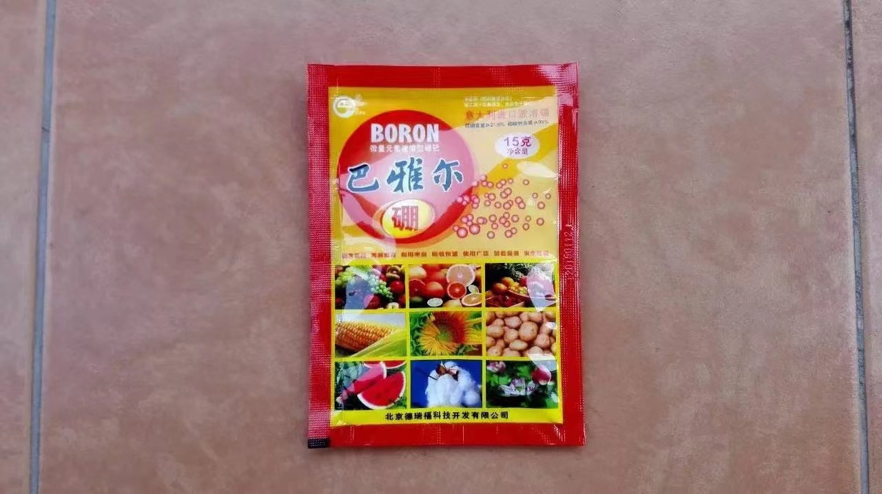 巴雅尔