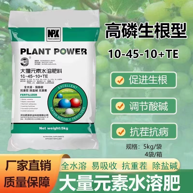 高磷生根型