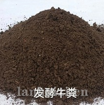 发酵牛粪