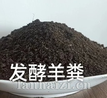 发酵羊粪