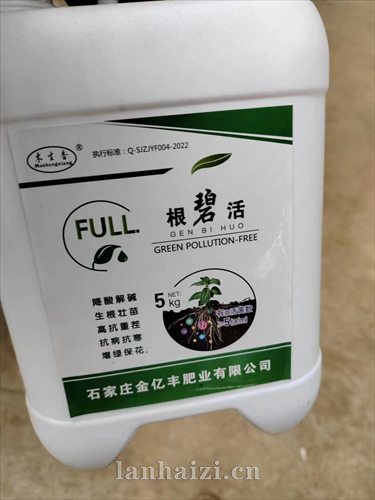 根碧活
