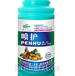 喷护-贺丰国际