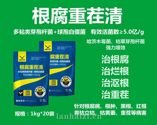根腐重茬清
