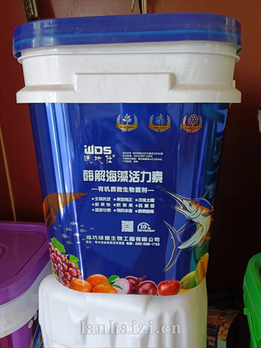 酶解海藻活力素
