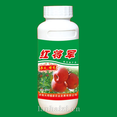 红将军