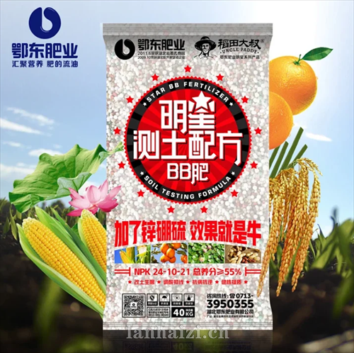 24-10-21≥55%测土配方肥BB肥