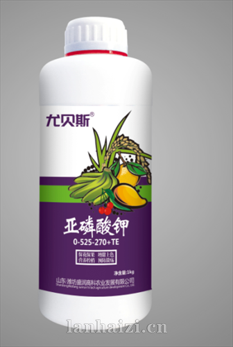 亚磷酸钾