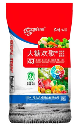 大糖欢歌40kg