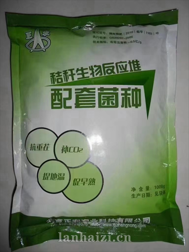 菌种