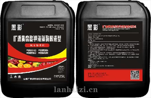 黑影 矿源黄腐酸钾海藻酶解液型  微生物菌剂