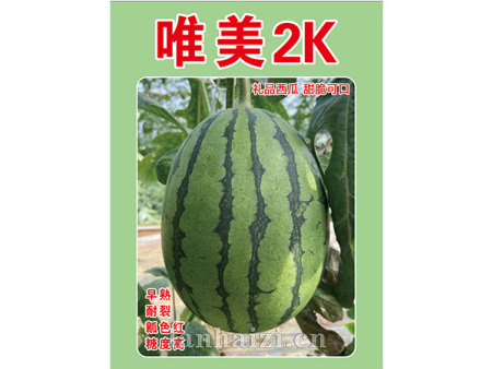 唯美2K 西瓜种子