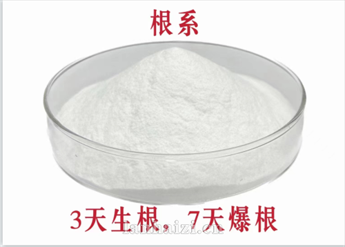 根系