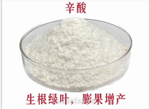 辛酸