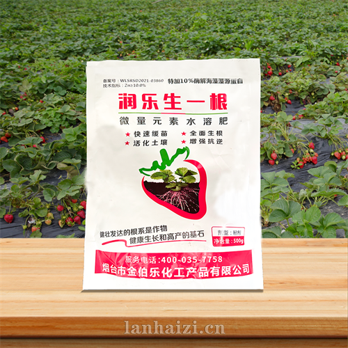 润乐生一根