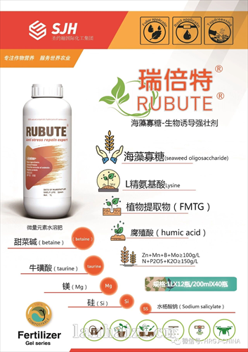 瑞倍特 海藻寡糖-生物诱导强壮剂，微量元素水溶肥料