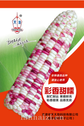 彩香甜糯