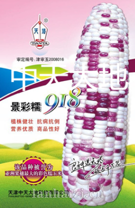 景彩糯918