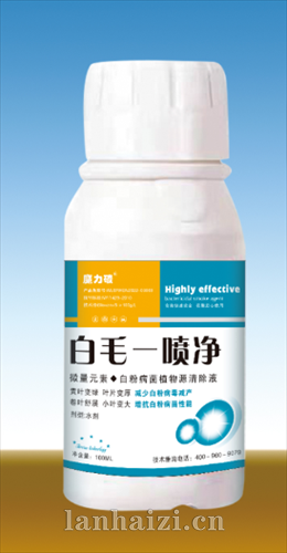 白毛