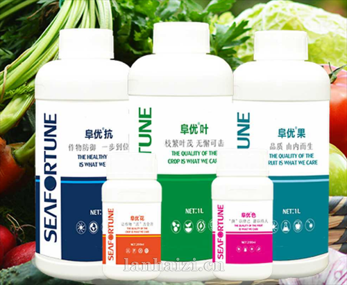 蔬菜专用肥