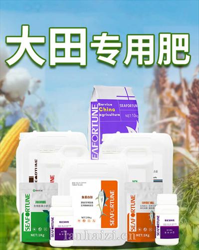 大田专用肥