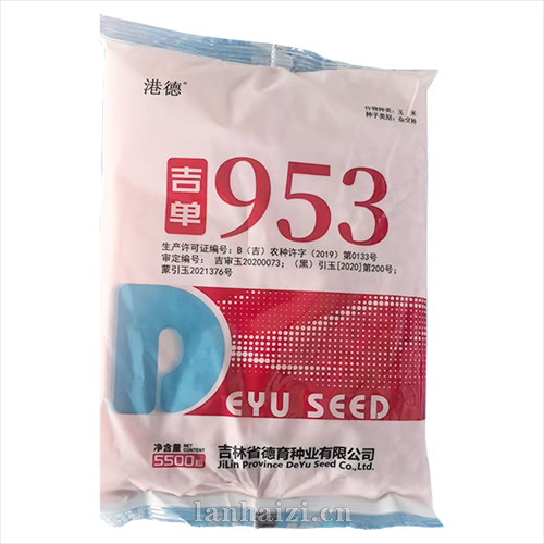 吉单 953 玉米种子