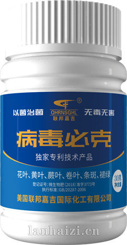 病毒必克