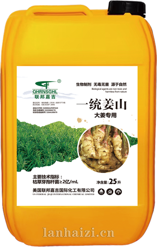 一统姜山 大姜专用