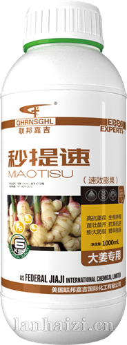秒提速 大姜专用