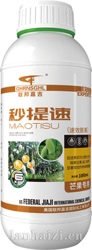 秒提速 芒果专用