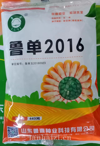 鲁单2016