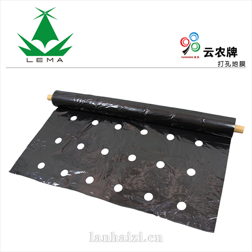 黑色打孔地膜