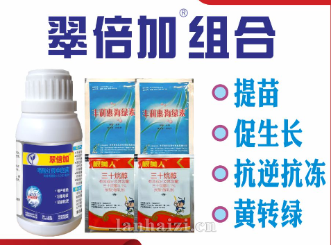 翠倍加组合- 
