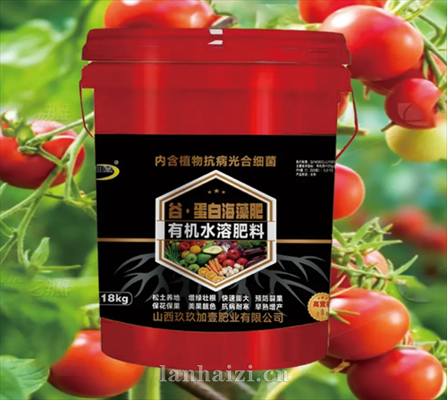 谷蛋白海藻肥  有机水溶肥料  增糖着色型