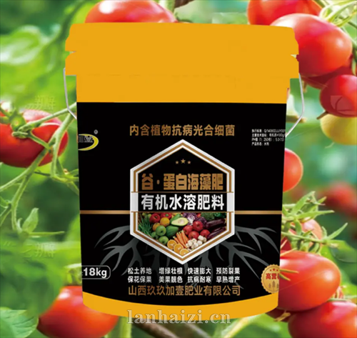 谷蛋白海藻肥  有机水溶肥料  提苗壮杆型