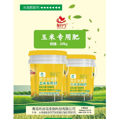 玉米专用肥 微生物菌剂