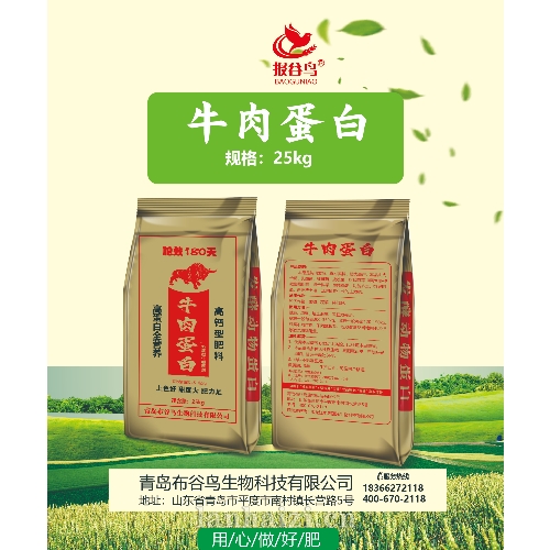 牛肉蛋白