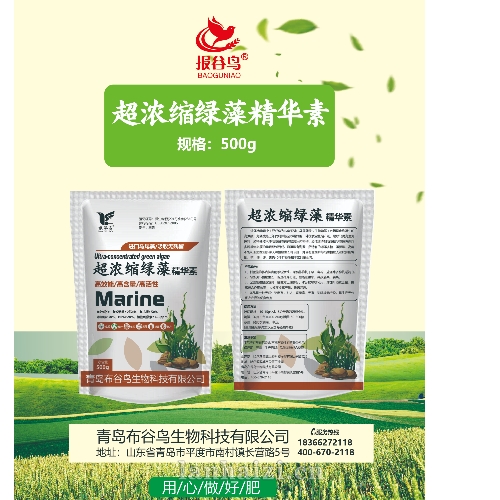 超浓缩绿藻精华素