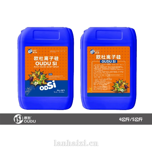 欧杜离子硅