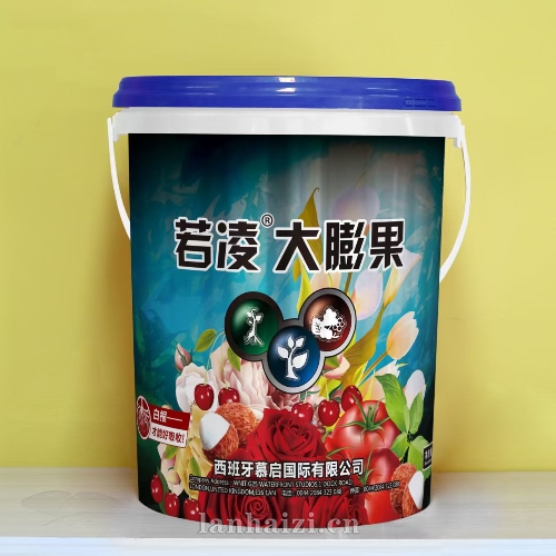 若凌 大膨果