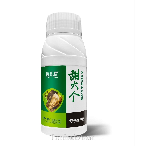 芸乐优·甜大个