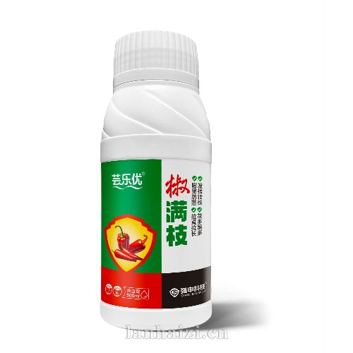 芸乐优·椒枝满