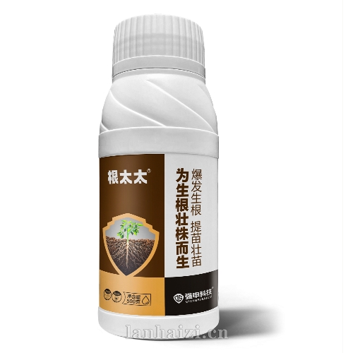 根太太